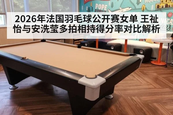 2026年法国羽毛球公开赛女单 王祉怡与安洗莹多拍相持得分率对比解析