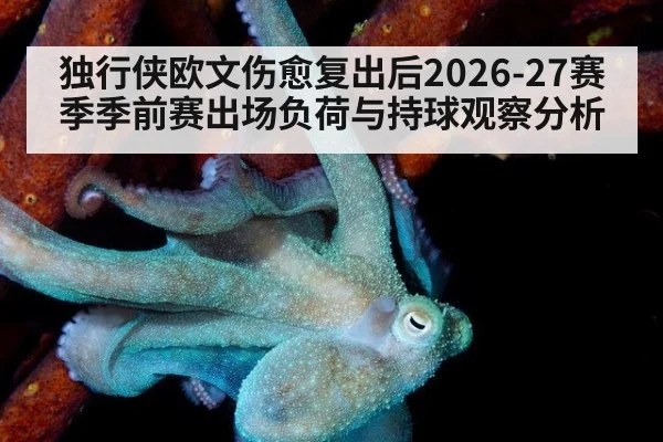 独行侠欧文伤愈复出后2026-27赛季季前赛出场负荷与持球观察分析